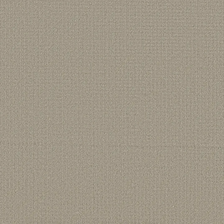 Shaw Floors Aerial Arts — Natural Stone · 5E040-00106 — flooring selection with LeviArs Design & Remodeling