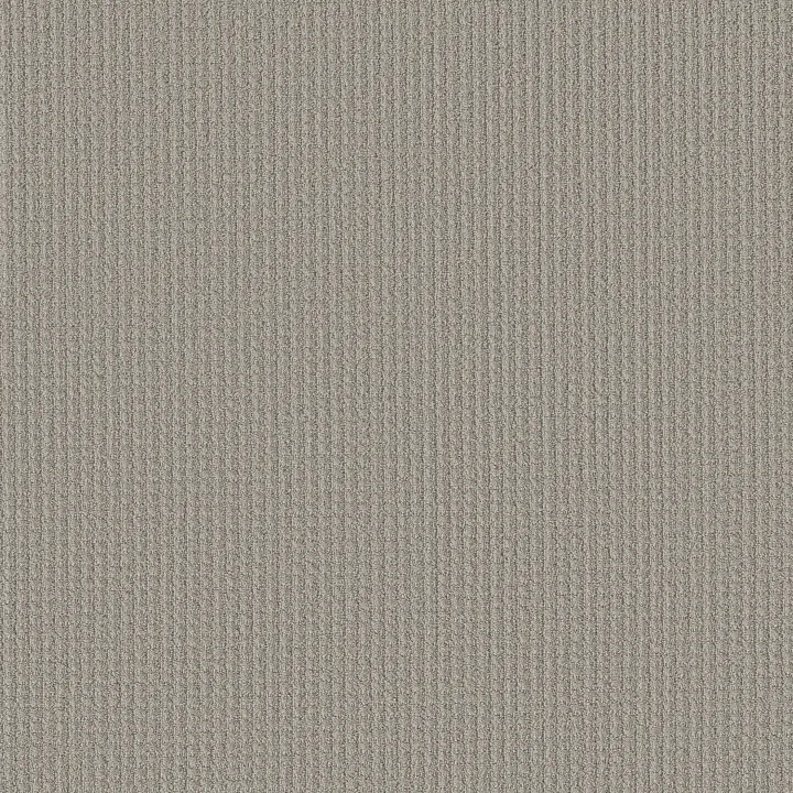 Shaw Floors Aerial Arts — Powder Grey · 5E040-00502 — flooring selection with LeviArs Design & Remodeling