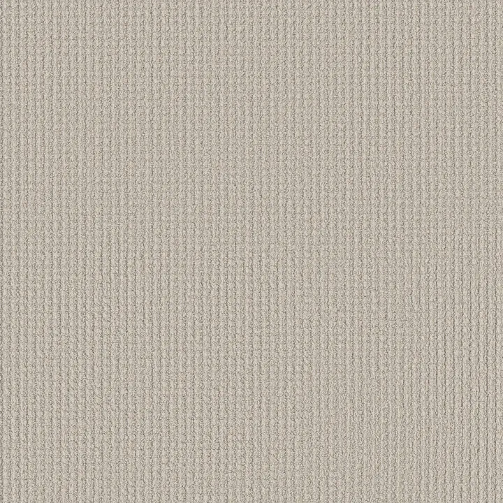 Shaw Floors Aerial Arts — Soft Linen · 5E040-00102 — flooring selection with LeviArs Design & Remodeling