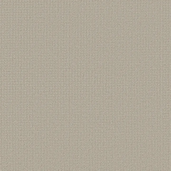 Shaw Floors Aerial Arts — Spun Wool · 5E040-00105 — flooring selection with LeviArs Design & Remodeling