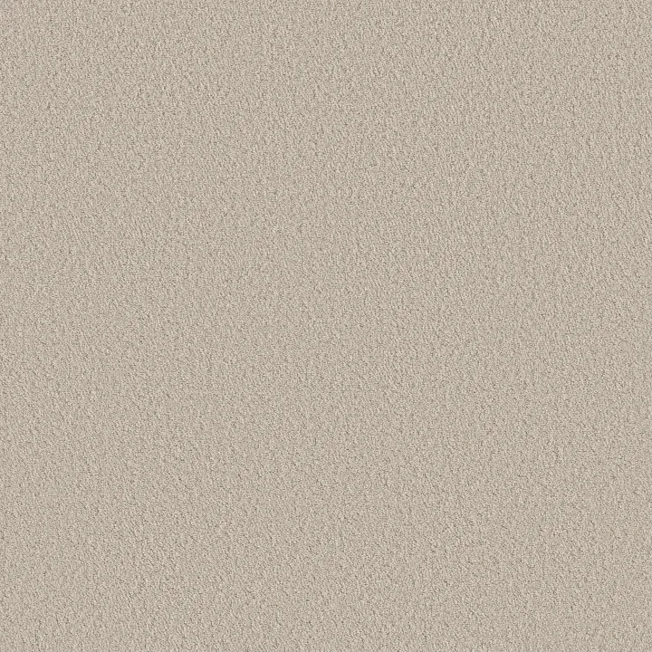 Shaw Floors Aerial View — Canvas · 5E041-00103 — flooring selection with LeviArs Design & Remodeling