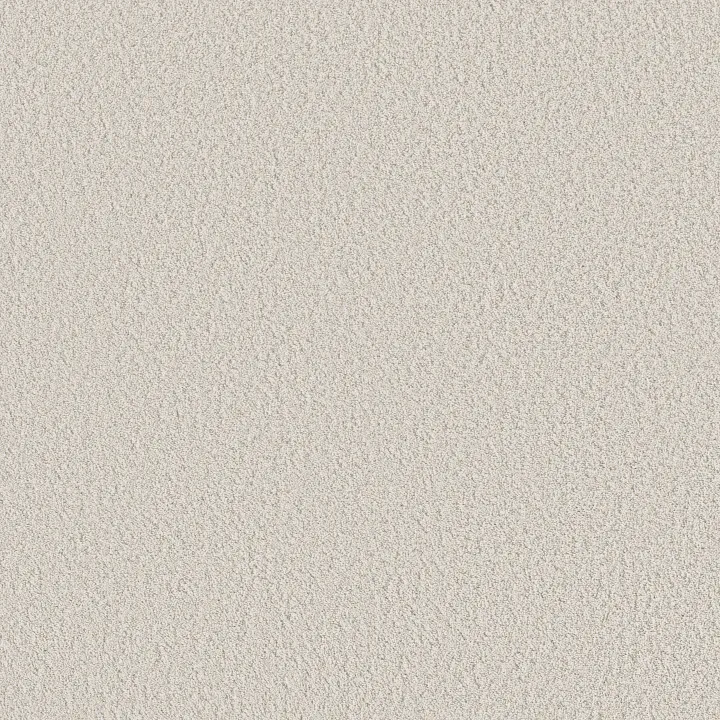 Shaw Floors Aerial View — Cotton · 5E041-00100 — flooring selection with LeviArs Design & Remodeling