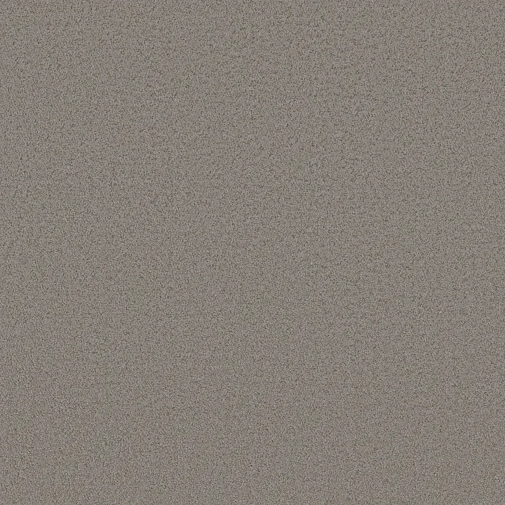 Shaw Floors Aerial View — Dark Slate · 5E041-00503 — flooring selection with LeviArs Design & Remodeling