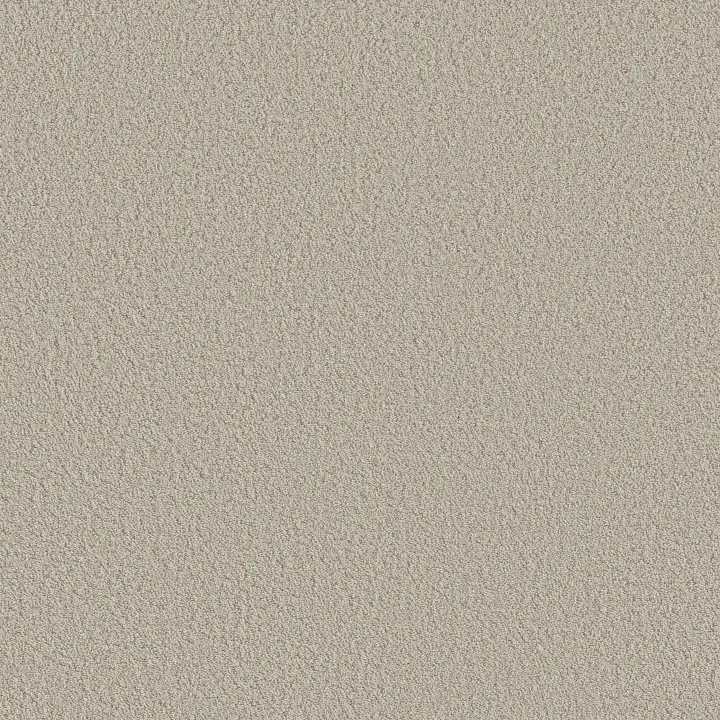 Shaw Floors Aerial View — Spun Wool · 5E041-00105 — flooring selection with LeviArs Design & Remodeling