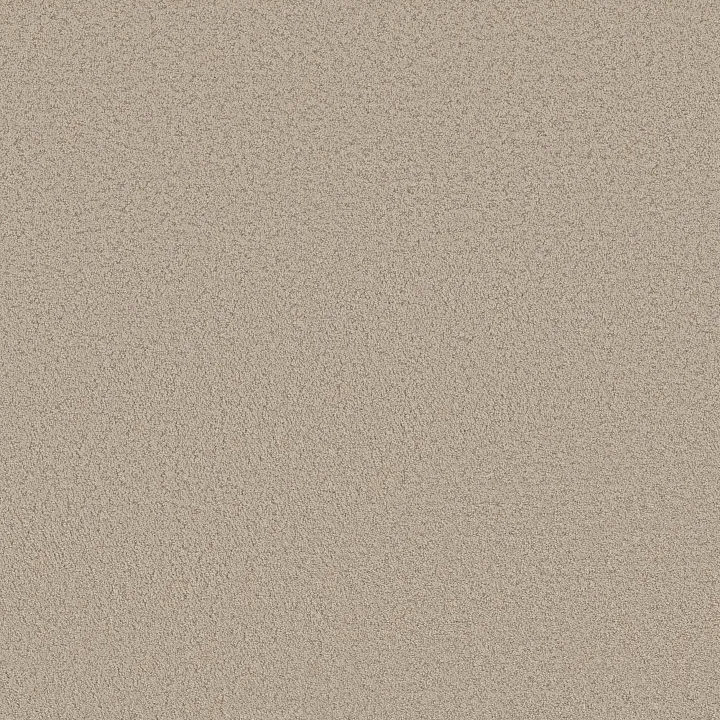 Shaw Floors Aerial View — Tiramisu · 5E041-00104 — flooring selection with LeviArs Design & Remodeling