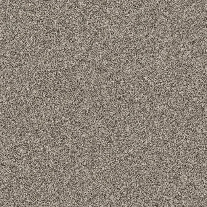 Shaw Floors Affirmation I — Bistro · 5E794-00111 — flooring selection with LeviArs Design & Remodeling