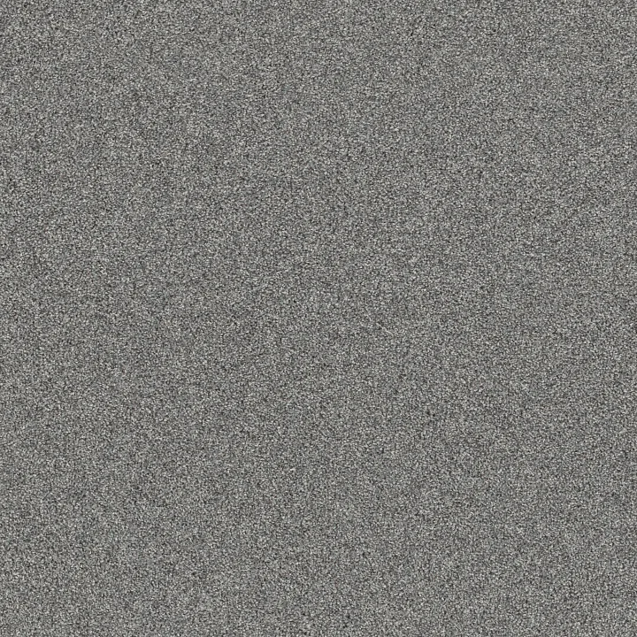 Shaw Floors Affirmation I — Clear Vista · 5E794-00403 — flooring selection with LeviArs Design & Remodeling