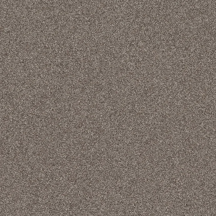 Shaw Floors Affirmation I — Creek Bend · 5E794-00712 — flooring selection with LeviArs Design & Remodeling
