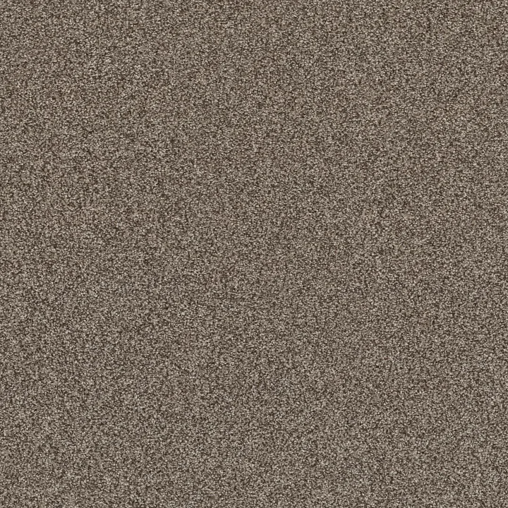 Shaw Floors Affirmation I — Havana · 5E794-00708 — flooring selection with LeviArs Design & Remodeling