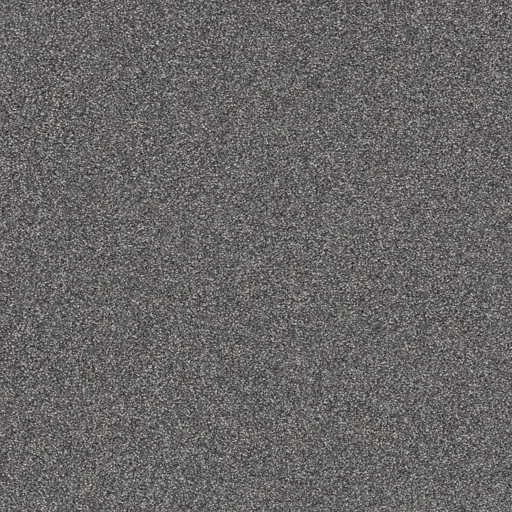Shaw Floors Affirmation I — Hypnotic · 5E794-00412 — flooring selection with LeviArs Design & Remodeling