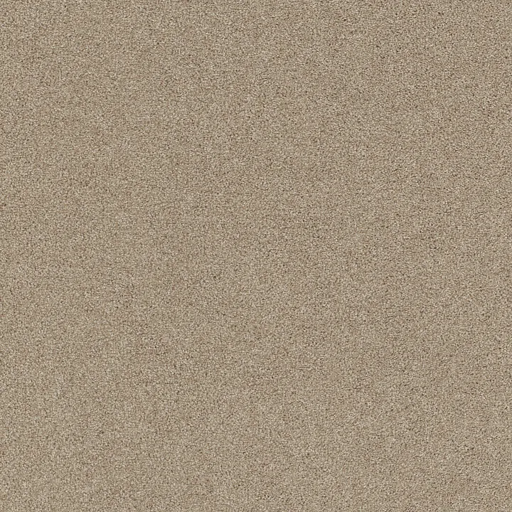 Shaw Floors Affirmation I — Loft Light · 5E794-00104 — flooring selection with LeviArs Design & Remodeling