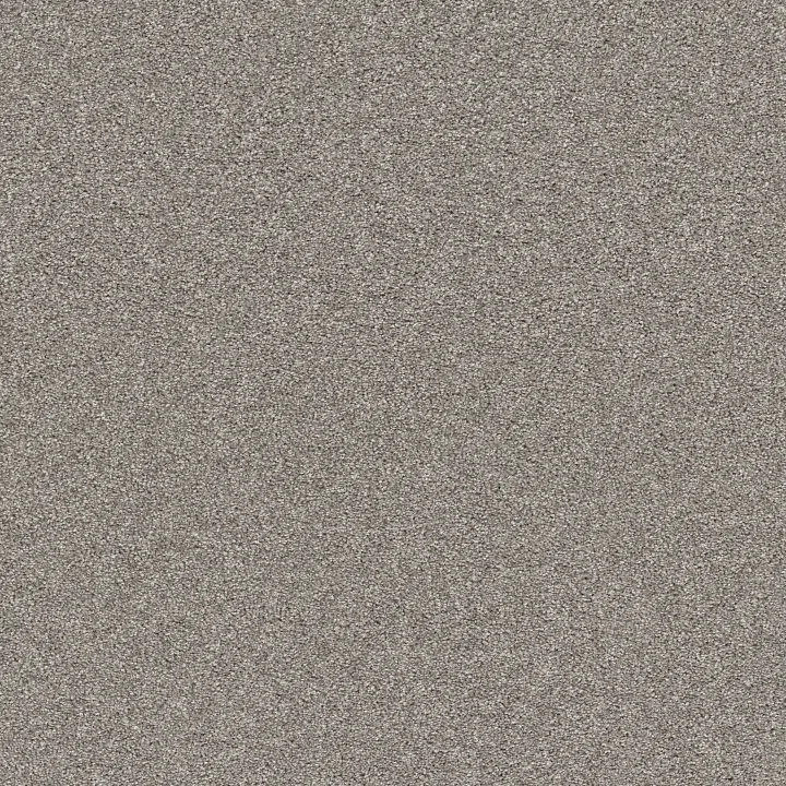 Shaw Floors Affirmation I — Lunar Surface · 5E794-00500 — flooring selection with LeviArs Design & Remodeling