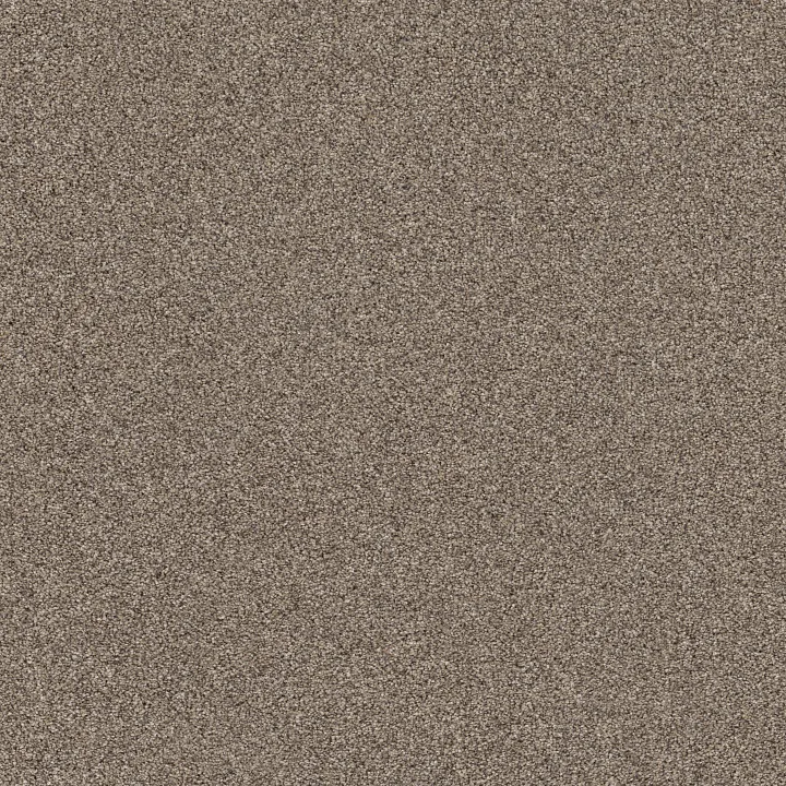 Shaw Floors Affirmation I — Midtown · 5E794-00711 — flooring selection with LeviArs Design & Remodeling