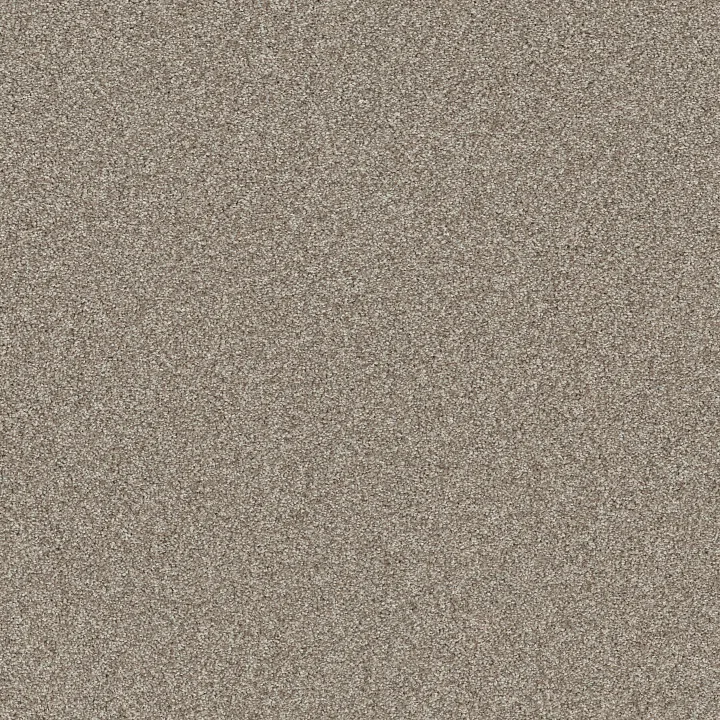 Shaw Floors Affirmation I — Plateau · 5E794-00110 — flooring selection with LeviArs Design & Remodeling