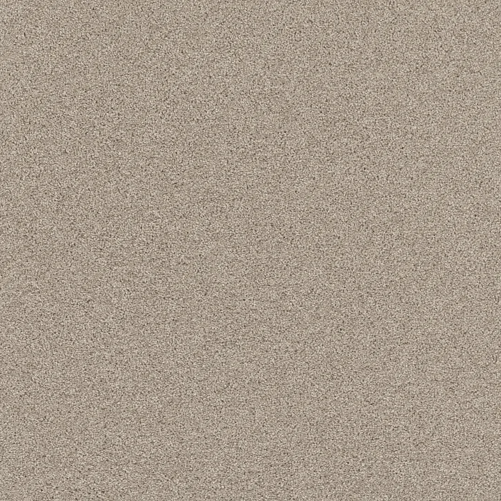 Shaw Floors Affirmation I — Sculptor · 5E794-00103 — flooring selection with LeviArs Design & Remodeling