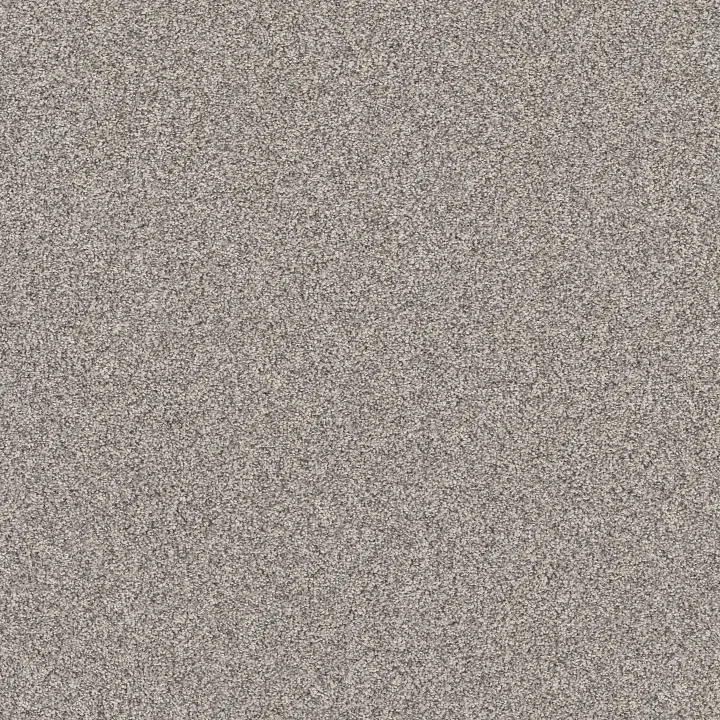 Shaw Floors Affirmation I — Shaved Ice · 5E794-00510 — flooring selection with LeviArs Design & Remodeling