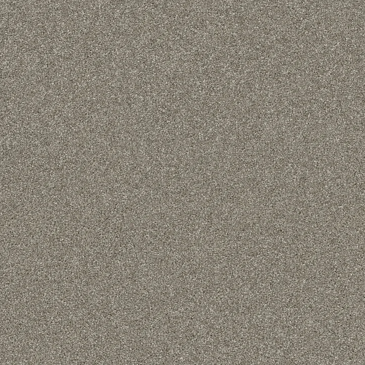 Shaw Floors Affirmation I — Vintage Pewter · 5E794-00105 — flooring selection with LeviArs Design & Remodeling