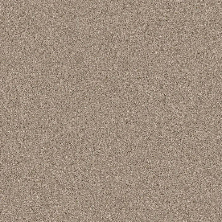 Shaw Floors Affirmation II — Basketry · 5E795-00106 — flooring selection with LeviArs Design & Remodeling