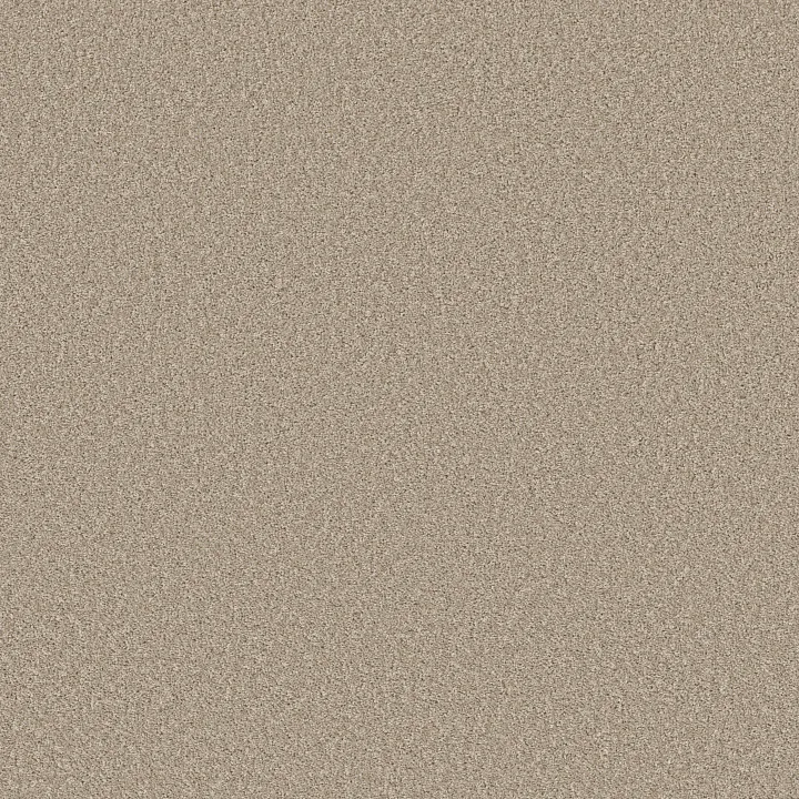 Shaw Floors Affirmation II — Loft Light · 5E795-00104 — flooring selection with LeviArs Design & Remodeling