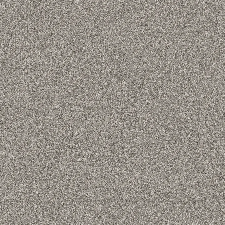 Shaw Floors Affirmation II — Lunar Surface · 5E795-00500 — flooring selection with LeviArs Design & Remodeling