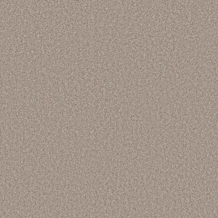 Shaw Floors Affirmation II — Sculptor · 5E795-00103 — flooring selection with LeviArs Design & Remodeling