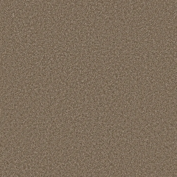 Shaw Floors Affirmation II — Spanish Brown · 5E795-00701 — flooring selection with LeviArs Design & Remodeling