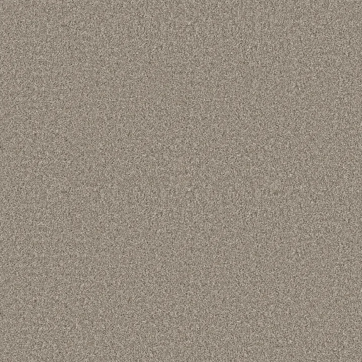 Shaw Floors Affirmation II — Vintage Pewter · 5E795-00105 — flooring selection with LeviArs Design & Remodeling