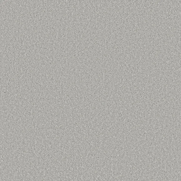 Shaw Floors Affirmation II — White Metal · 5E795-00100 — flooring selection with LeviArs Design & Remodeling