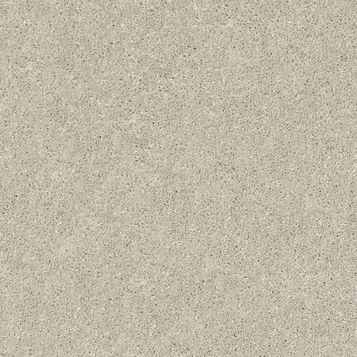 Shaw Floors After All I — Bird House · 5E044-00720 — flooring selection with LeviArs Design & Remodeling