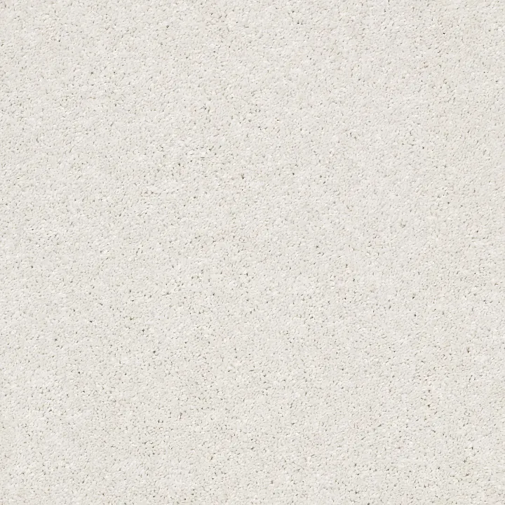 Shaw Floors After All I — Eggshell · 5E044-00120 — flooring selection with LeviArs Design & Remodeling