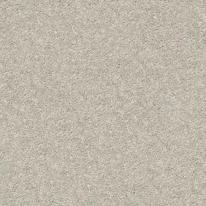 Shaw Floors After All I — Pebble Creek · 5E044-00721 — flooring selection with LeviArs Design & Remodeling