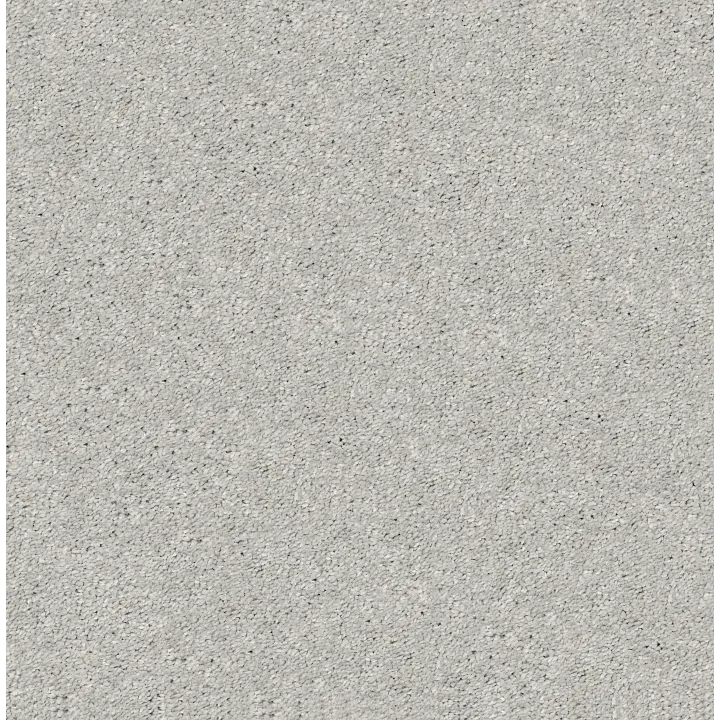 Shaw Floors After All I — Shadow · 5E044-00522 — flooring selection with LeviArs Design & Remodeling