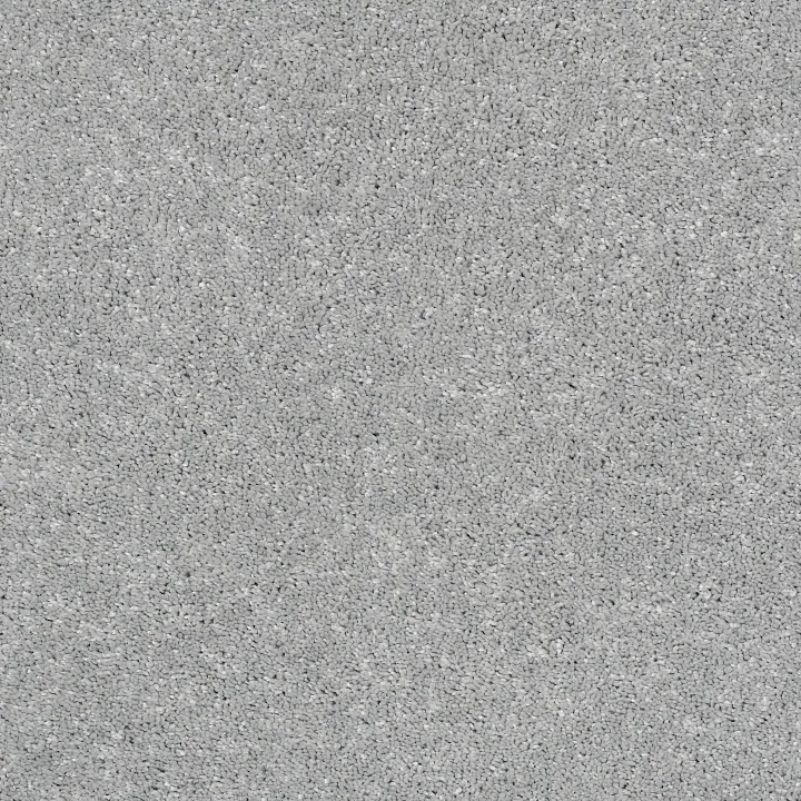 Shaw Floors After All II — Anchor · 5E045-00521 — flooring selection with LeviArs Design & Remodeling
