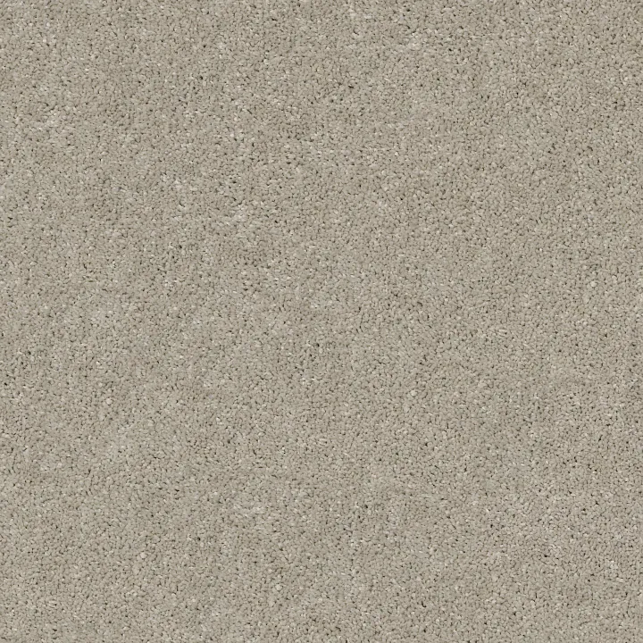 Shaw Floors After All II — Bird House · 5E045-00720 — flooring selection with LeviArs Design & Remodeling