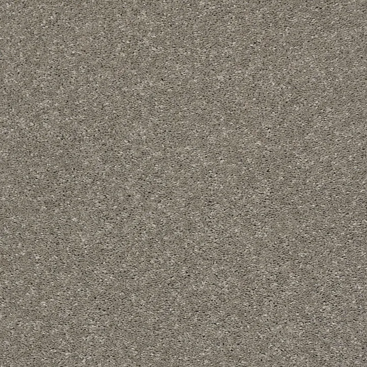 Shaw Floors After All II — Rustic Taupe · 5E045-00722 — flooring selection with LeviArs Design & Remodeling