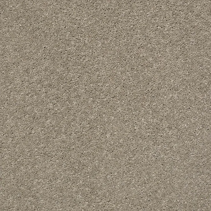 Shaw Floors After All II — Sandstone · 5E045-00723 — flooring selection with LeviArs Design & Remodeling