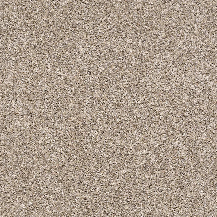 Shaw Floors After It I — Neutral Ground · 5E257-00101 — flooring selection with LeviArs Design & Remodeling