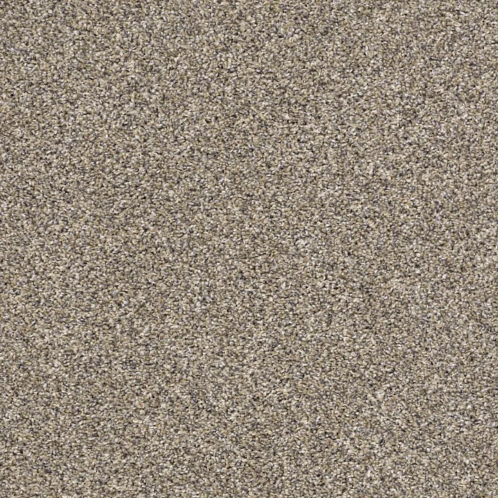 Shaw Floors After It I — Pebble Walk · 5E257-00102 — flooring selection with LeviArs Design & Remodeling
