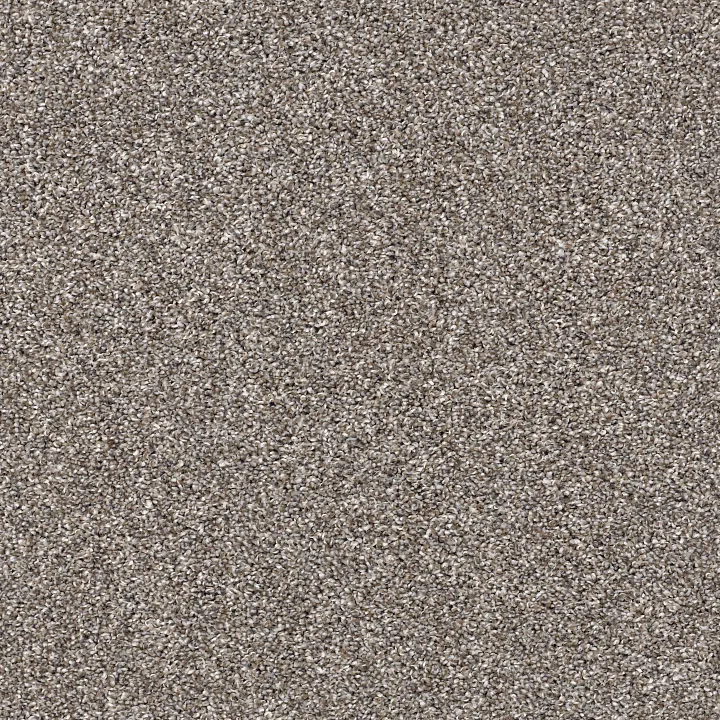 Shaw Floors After It I — Tree House · 5E257-00700 — flooring selection with LeviArs Design & Remodeling