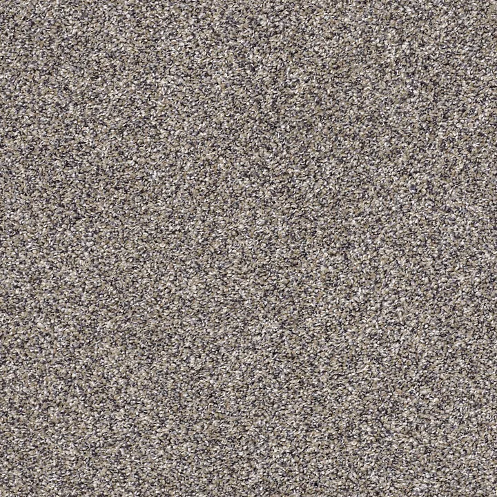 Shaw Floors After It II — Reflection · 5E258-00500 — flooring selection with LeviArs Design & Remodeling