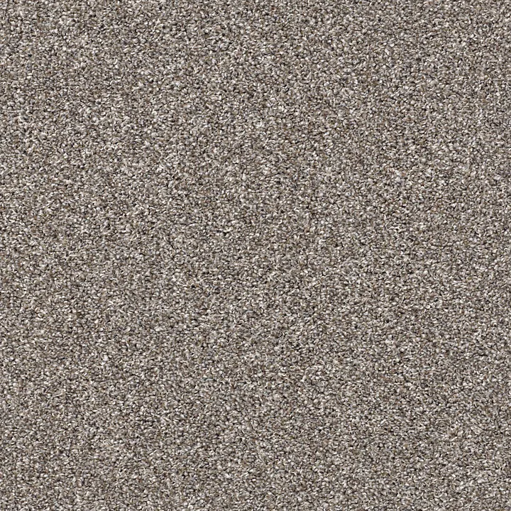 Shaw Floors After It II — Tree House · 5E258-00700 — flooring selection with LeviArs Design & Remodeling