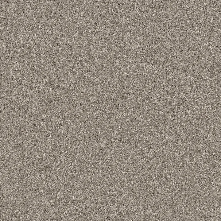 Shaw Floors Agility — Barely There · 5E878-00720 — flooring selection with LeviArs Design & Remodeling