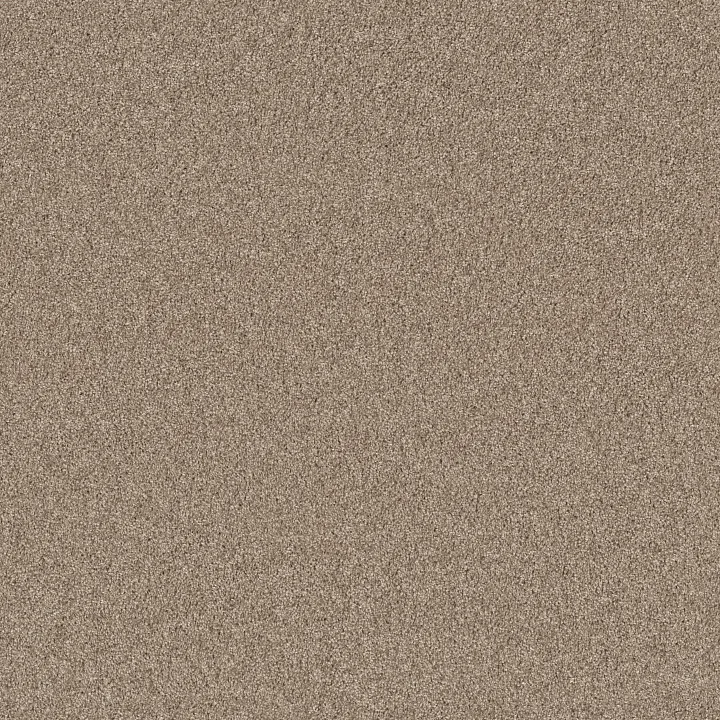 Shaw Floors Agility — Biscotti · 5E878-00700 — flooring selection with LeviArs Design & Remodeling
