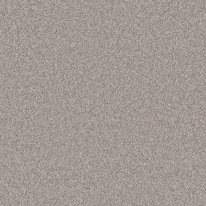 Shaw Floors Agility — Cloudy Skies · 5E878-00500 — flooring selection with LeviArs Design & Remodeling