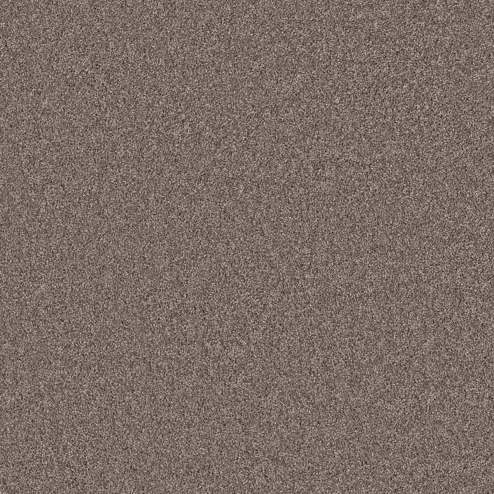 Shaw Floors Agility — Hammerhead · 5E878-00521 — flooring selection with LeviArs Design & Remodeling