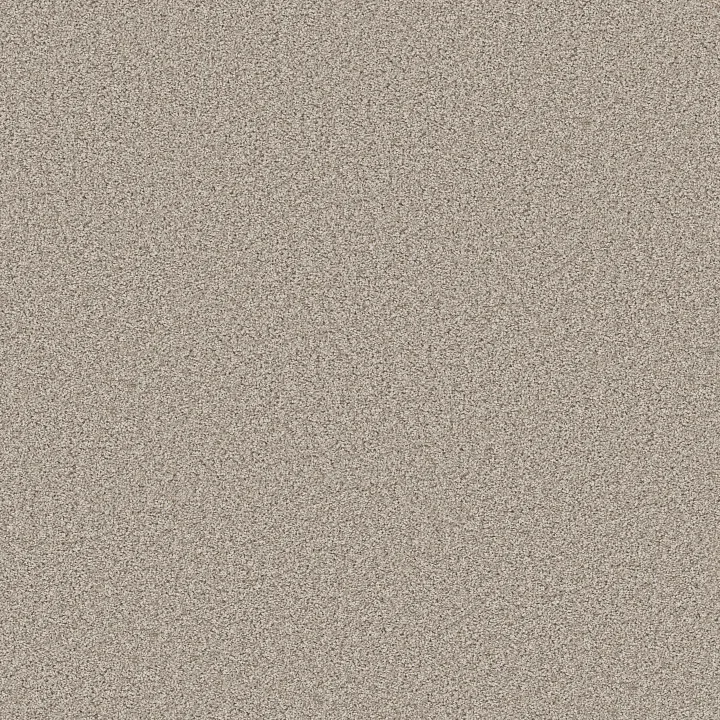 Shaw Floors Agility — Magnolia Bloom · 5E878-00120 — flooring selection with LeviArs Design & Remodeling