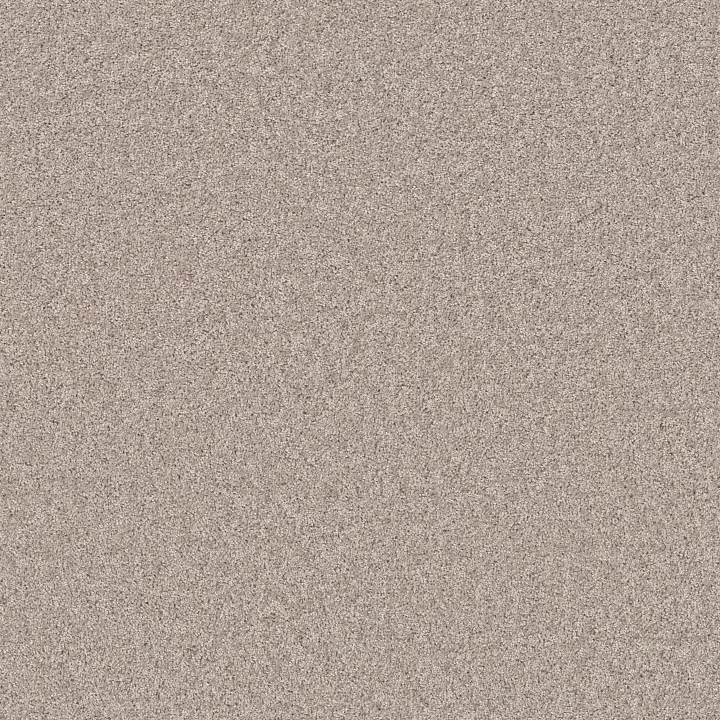 Shaw Floors Agility — Ornamental Gate · 5E878-00122 — flooring selection with LeviArs Design & Remodeling