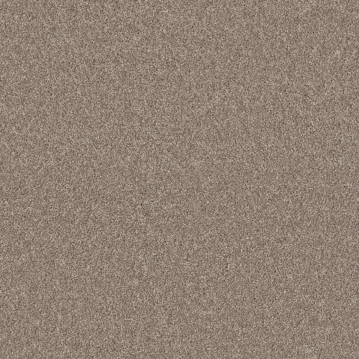 Shaw Floors Agility — Owl · 5E878-00121 — flooring selection with LeviArs Design & Remodeling