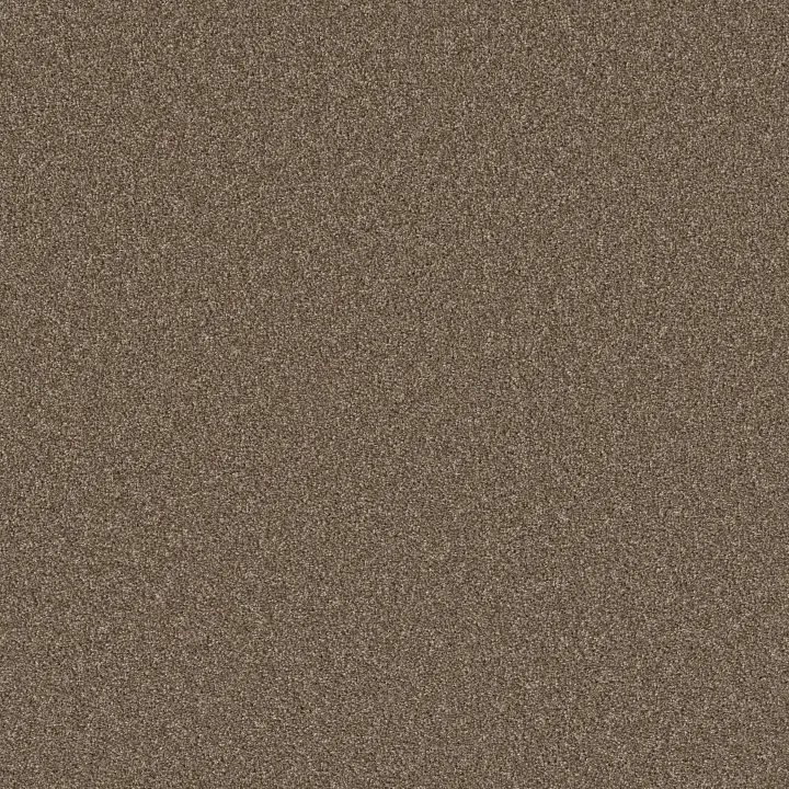 Shaw Floors Agility — Roasted Coffee · 5E878-00721 — flooring selection with LeviArs Design & Remodeling