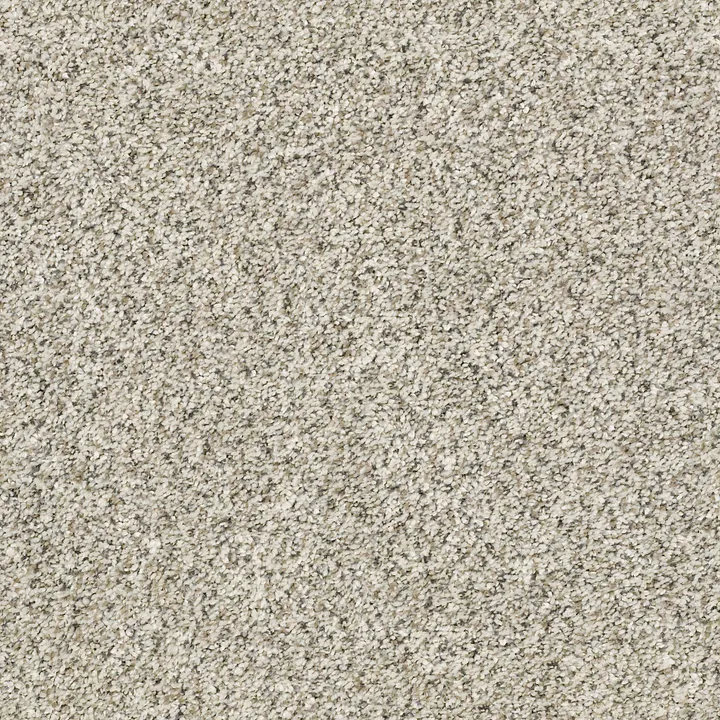 Shaw Floors All Set I — Atlantic Sand · E9874-00102 — flooring selection with LeviArs Design & Remodeling